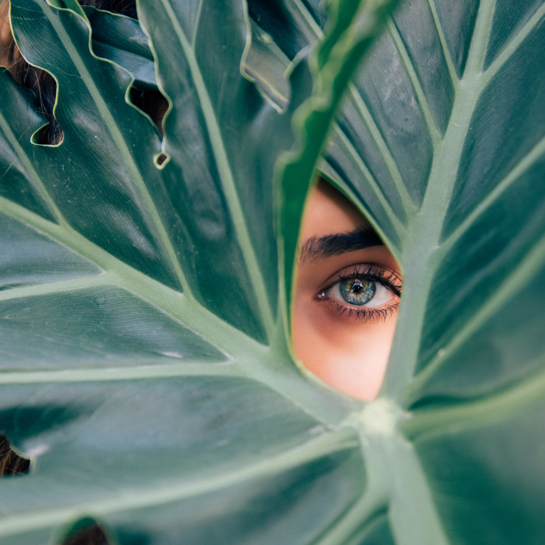 Why MAJI LANE doesn't sell eye care products (and never will!)